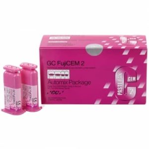 Fujicem 2 Cartus SL 13.3g GC